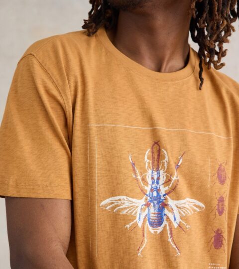 Beetle Graphic Tee In TAN PRINT